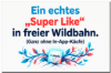Ein echtes Super Like. Dating App